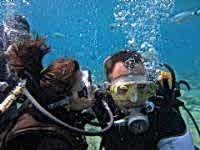 Bodrum Sualtı Dalış Turu