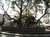 Tıcket For Turgutreis To Kos By Catamaran