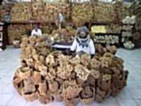 Bodrum Kalymnos Turu